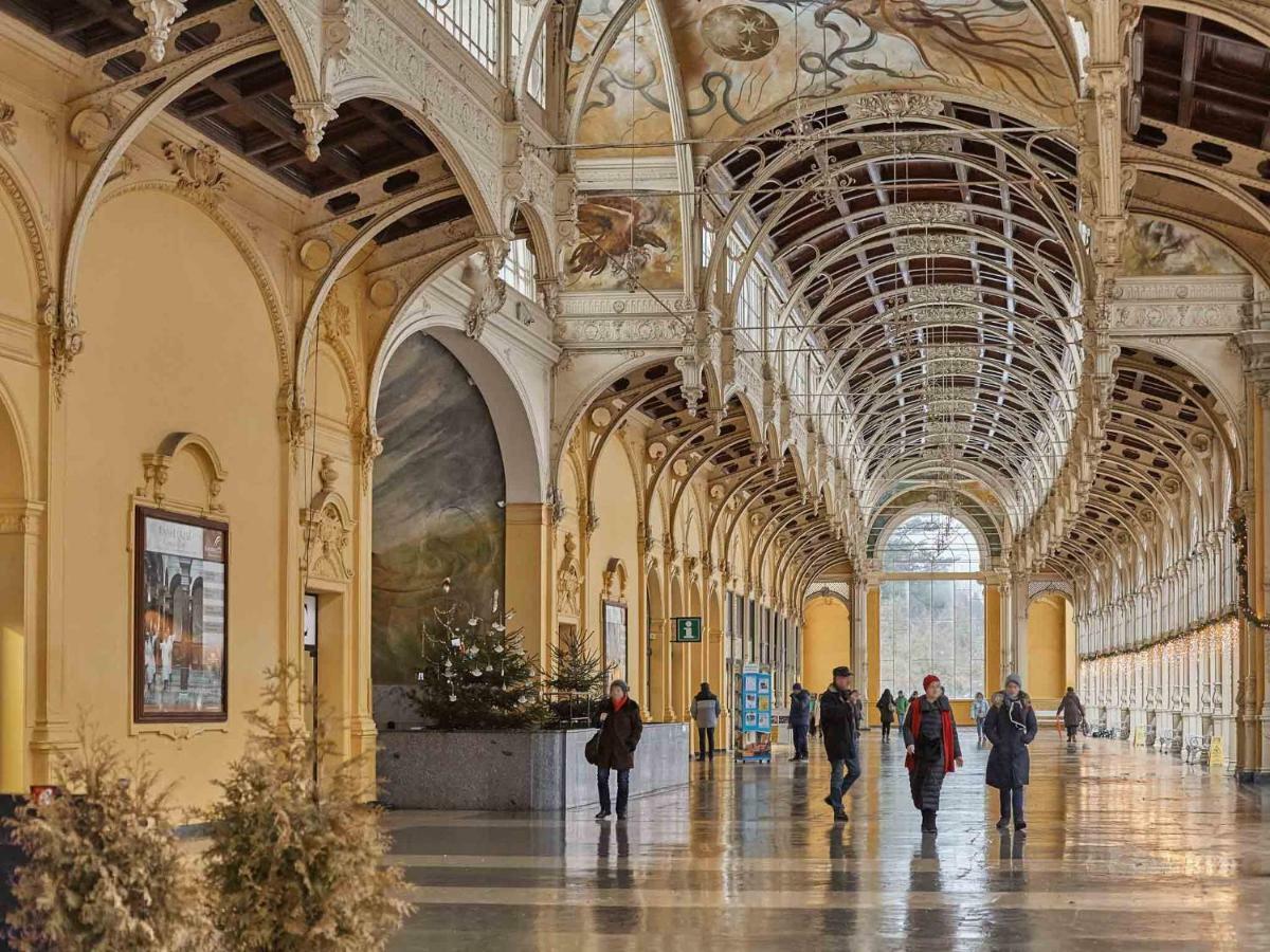 Apart House Plesia2 Mariánské Lázně Екстериор снимка